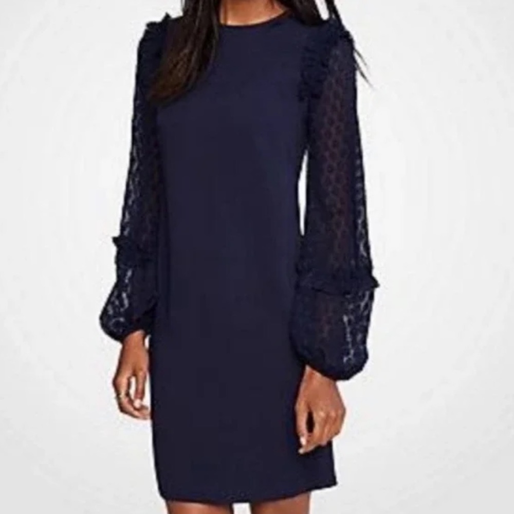 Ann Taylor | Navy Sheer Polka Dot Sleeve Mini‎ Dress